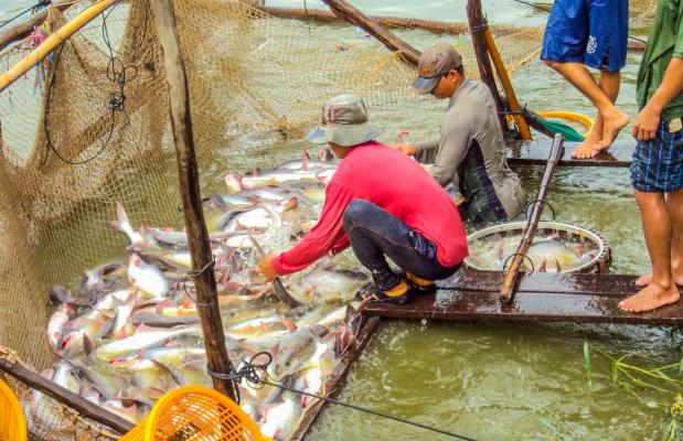 Mekong Delta Day Tour from Ho Chi Minh City