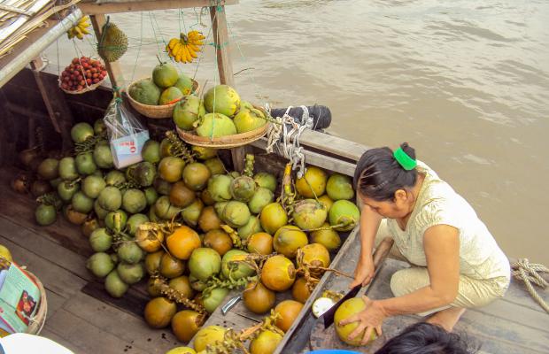 Ho Chi Minh City and Mekong Delta 2 Days