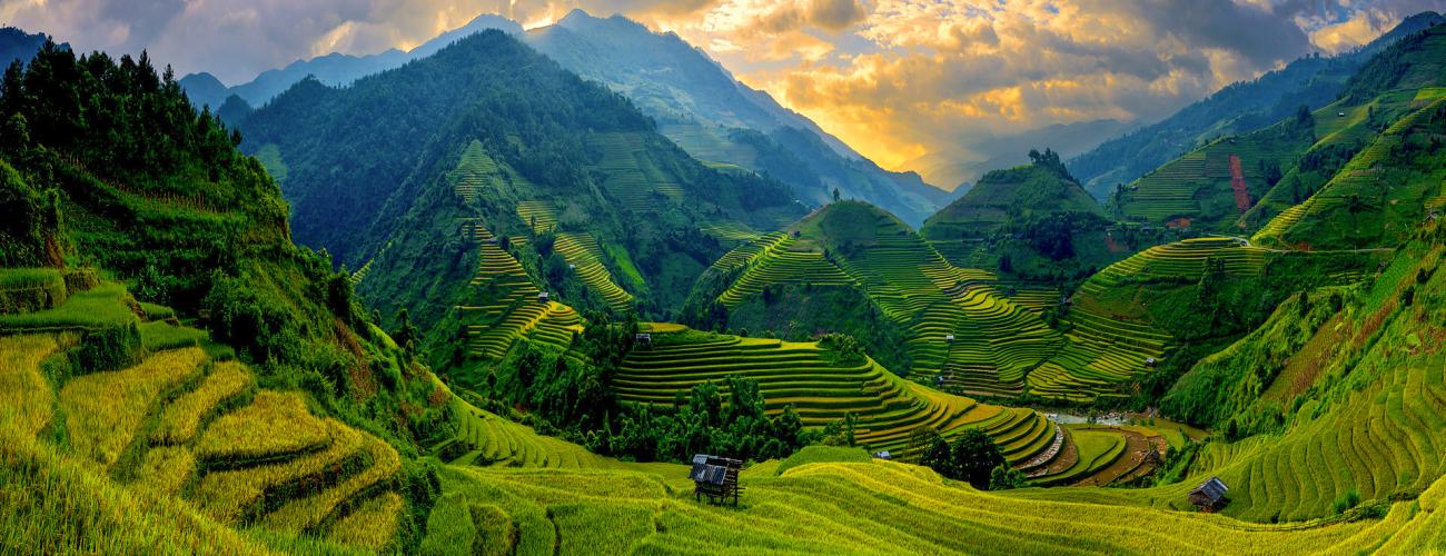 Discover Vietnam Tours