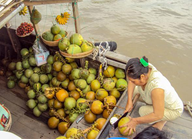 Mekong Delta Day Tour from Ho Chi Minh City